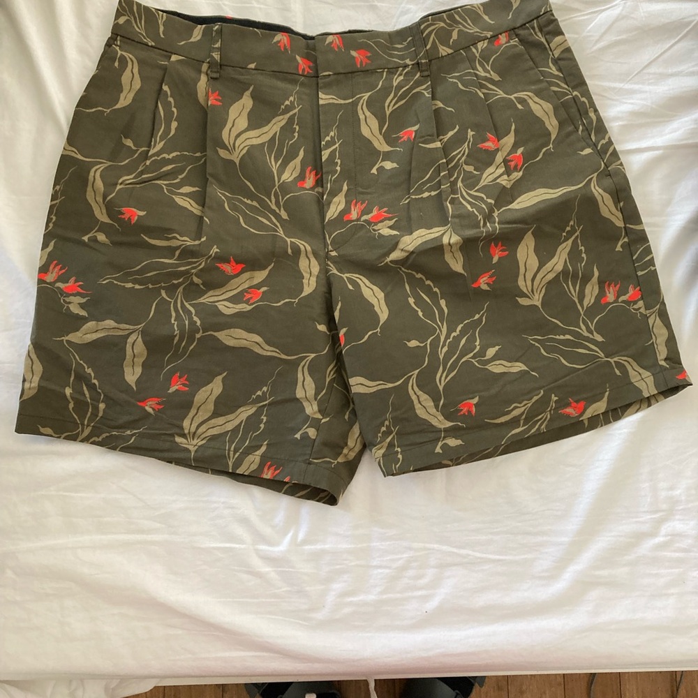 Rag and bone shorts